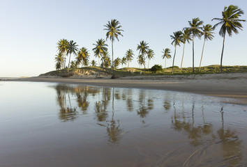 Obraz premium Praias Potiguares - Natal, Brasil
