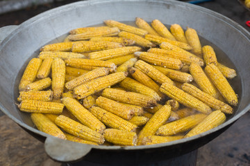 Fresh corncobs cooked in metal bowl