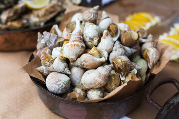 Plenty of seafood, veined rapa whelk on grill pan