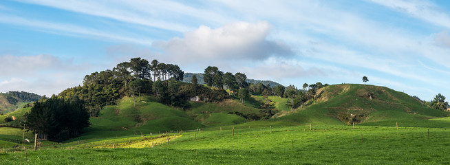Fototapeta na wymiar New Zealand beautiful farming landscape