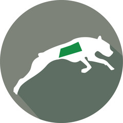 Greyhound race icon