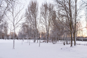 Parque Urbano Cubierto de Nieve al Atardecer