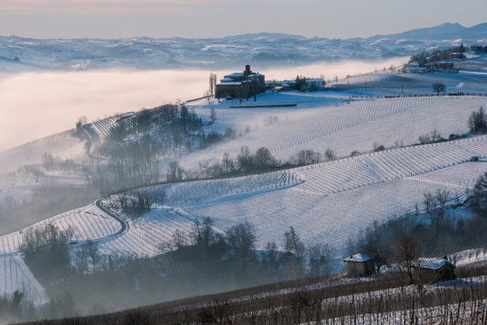Italy, Piedmont, Cuneo district, Langhe, the castle of Volta e the vineyards near Barolo during a winter morning