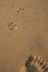 footprints in the sand at the beach