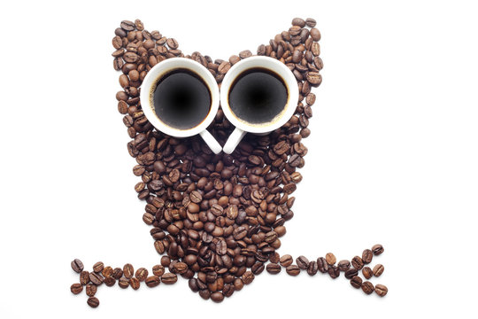Owl made of coffee beans over white background