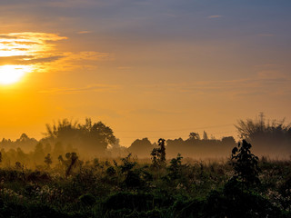 Gold light of sunrise at the countryside