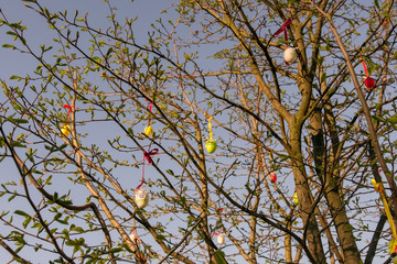 Easter eggs hung in the branches of the tree