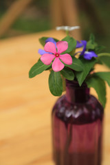 Small flower bouquet in glass bottle.