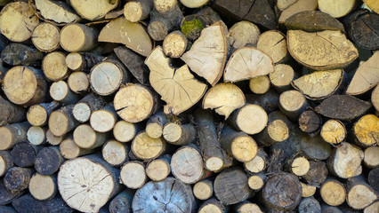 Gestapeltes Brennholz © familie-eisenlohr.de