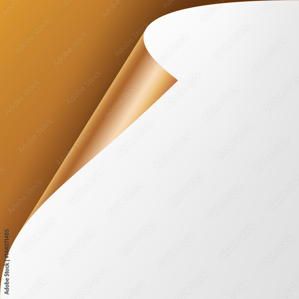 Poster curled metallic corner vector. realistic paper with soft shadow mock up close up isolated.