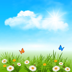 Fototapeta na wymiar Spring background with flowers in the grass