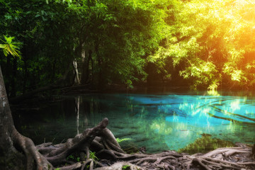 Blue pool at Emerald Pool is unseen pool in mangrove forest at Krabi in Thailand.