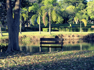 seat in garden