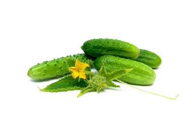 Ripe cucumbers isolated on white background.