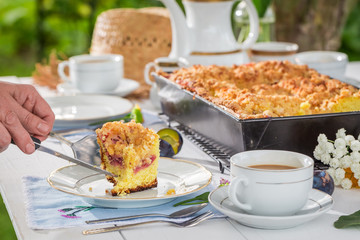 Delicious cake with plum served with coffee in sunny day