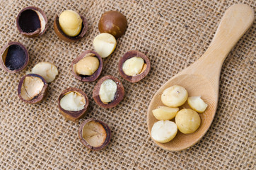 macadamia nuts in a wood spoon