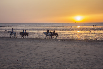 Fototapeta na wymiar People riding horses walking on the beach at sunset in Sanlucar de Barrameda (Cadiz) - Spain