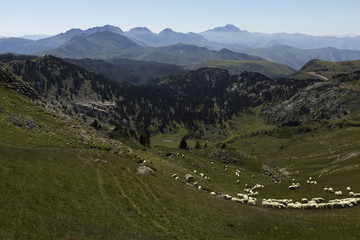 landscape of mountains