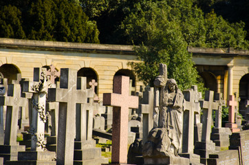 Large group of crosses in cemetery