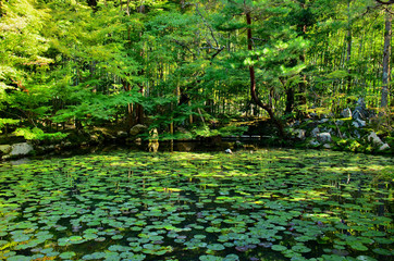 Tenjuan temple Pond