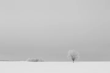 Fotobehang Minimalistic sad winter landscape © spaskov