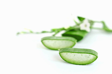 Aloe Vera  very useful herbal medicine for skin treatment and use in spa for skin care.