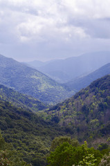 Fototapeta premium corsica