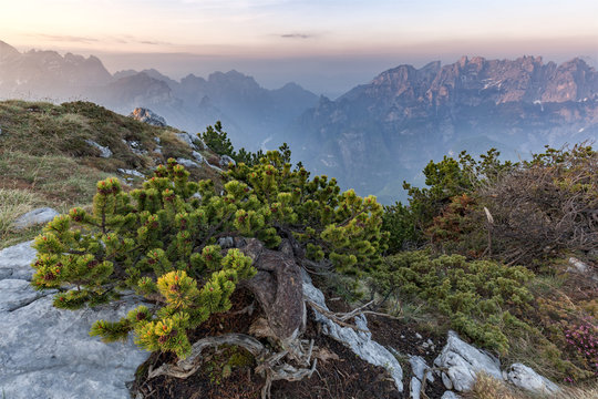 Europe, Italy, Veneto, Belluno. A sight towards Monti del Sole on the right and Schiara on the left from mont Celo. Agordino, Dolomiti Bellunesi National Park.