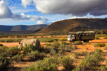 Safari truck and wildlife rhino in Western Cape South Africa © vwpix