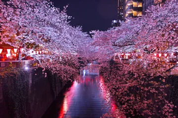 Stickers pour porte Fleur de cerisier Fleurs de cerisier nocturnes de la rivière Meguro