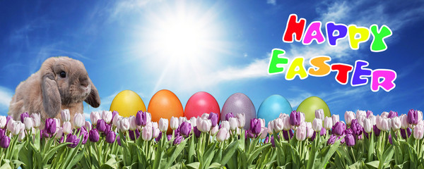 Bunny with Eggs pink and white Tulip on grassland blue sunny sky greeting Happy Eastern text english