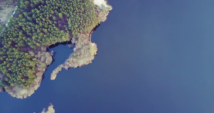 Coniferous forest and lake. landscape. Lungs of our Planet. Drone Point of View