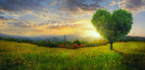 Fototapete Rund Panorama eines Herzbaums © Kevin Carden