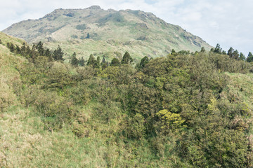 Fototapeta na wymiar Yangmingshan National Park in Taipei, Taiwan. Mountain background