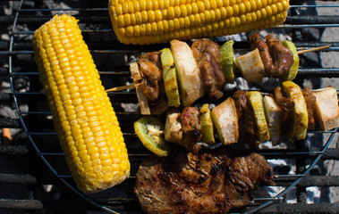 close on  meat with fruits and vegetables on the grill, top view