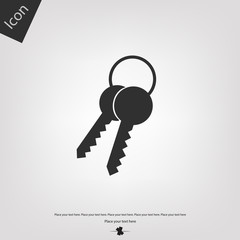 Keys vector icon