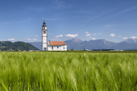 Europe, Slovenia, Upper Carniola, Kranj. The Church of Saint Ursula in the middle of the fields of Sorsko Polje, just outside of the village of Srednje Bitnje