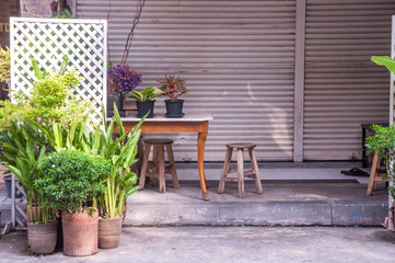 Fototapeta na wymiar Local home decoration with wooden table white partition and many plant pots, Thailand.