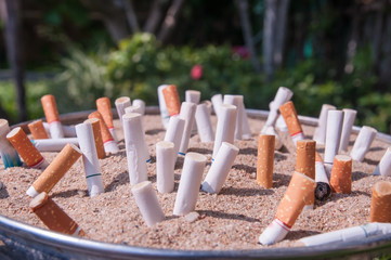 Cigarettes butt on sand tray, World No Tobacco Day 31 Mays