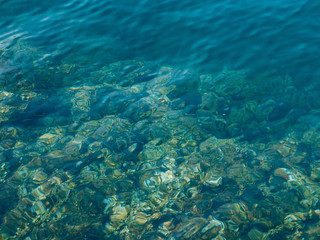 Fototapeta na wymiar Azure sea water in Montenegro, the Adriatic Sea, Balkans.