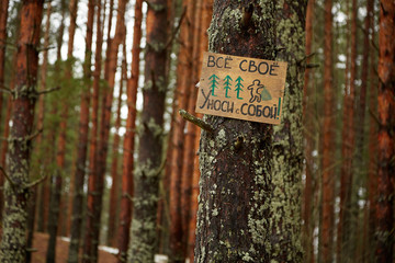 Плакат в лесу