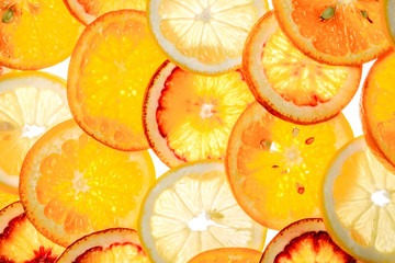 Orange, lemon, mandarin, red orange on white