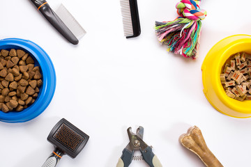 Collar, blue bowl with feed, leash, delicacy, combs and brushes for dogs. Isolated on white background
