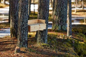 Деревянная скамейка  © vasilaleksandrov