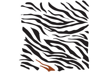Zebra skin. Vector texture. 