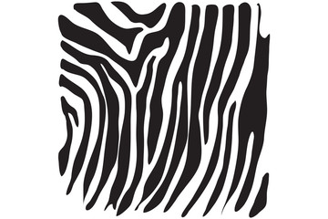 Zebra skin. Vector texture. 