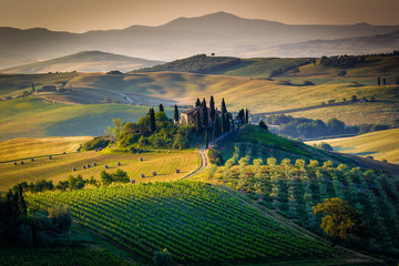 Tuscany, spring  landscape - obrazy, fototapety, plakaty