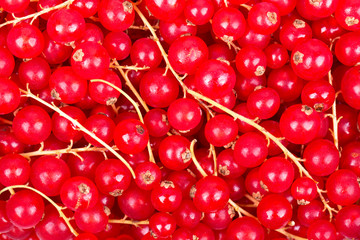 Recurrant background