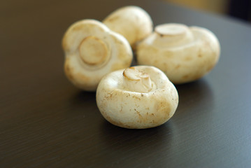 Champignon organic healthy food