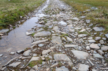 Rocky road with paddles